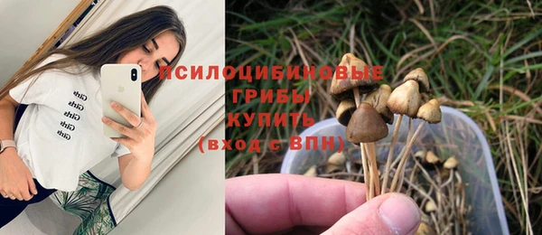 PSILOCYBIN Липки