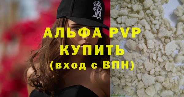 PSILOCYBIN Липки